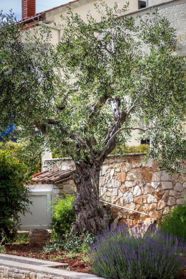 Apartments Balach Porec Exterior photo